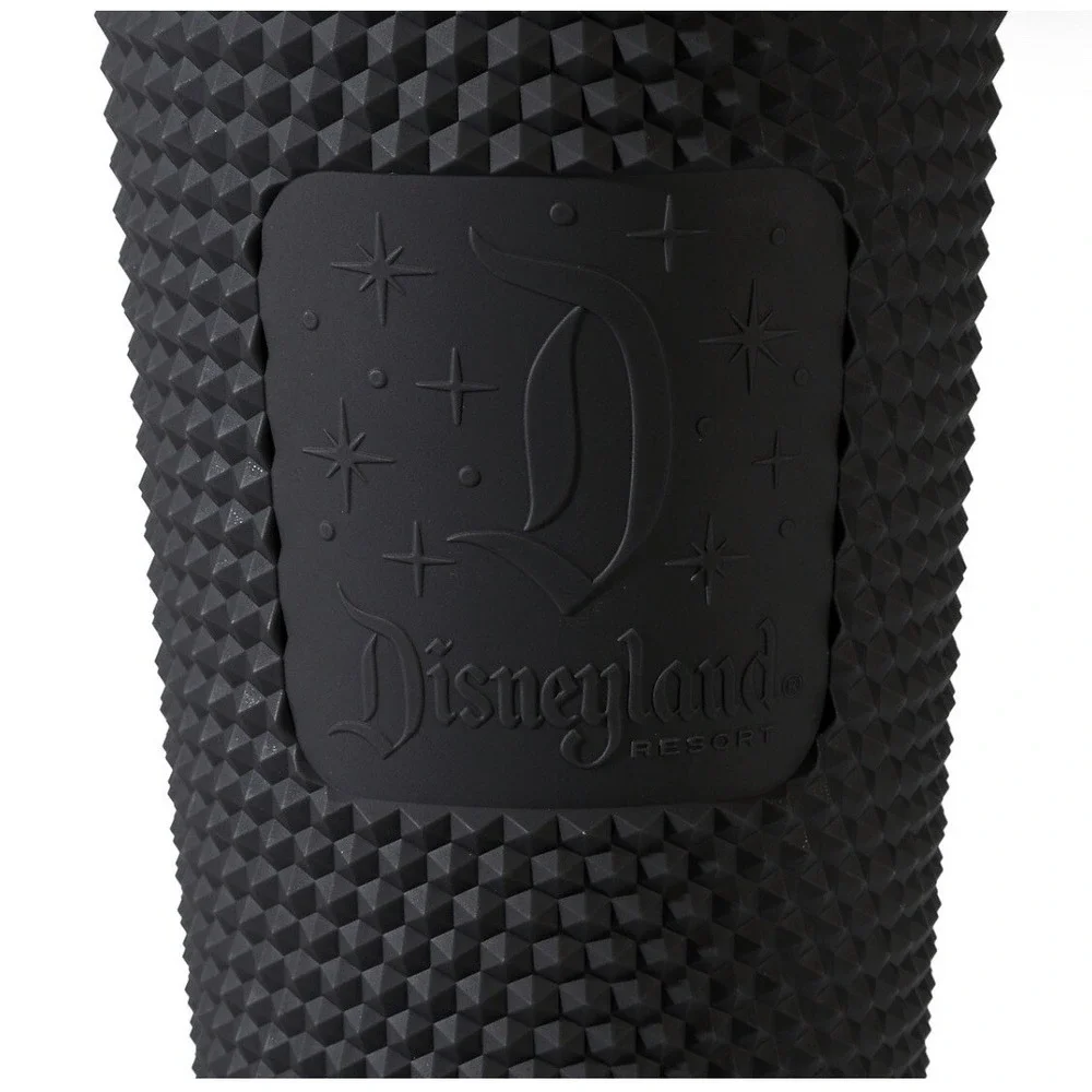 Disney this disneyland